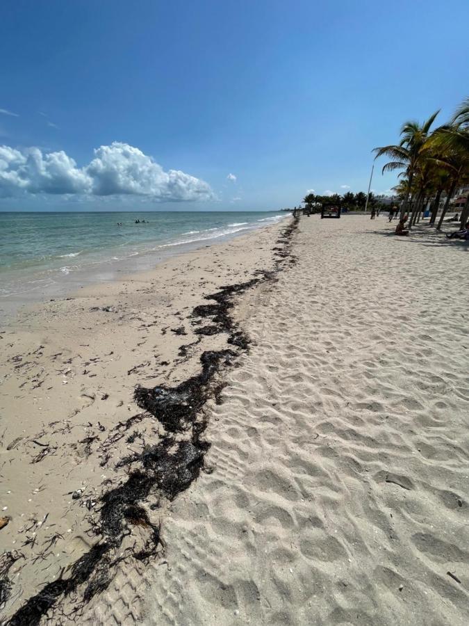 Itze Hostel Boutique - Progreso Progreso  Luaran gambar